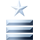 Major Grade 2